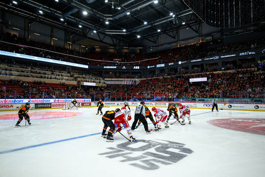 Monitor ERP Arena