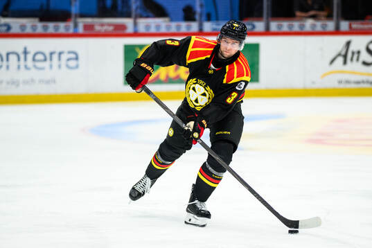 Brynäs Christian Djoos