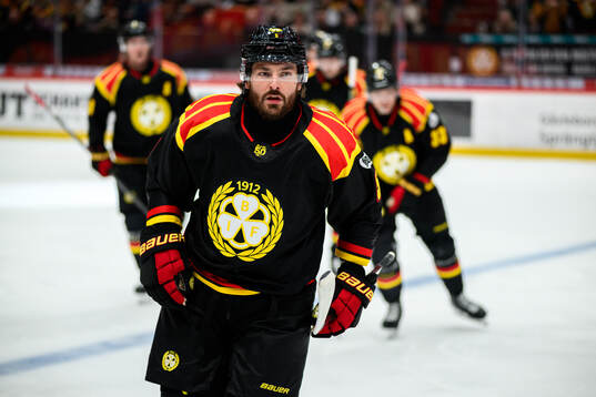 Brynäs Michal Kempny jublar
