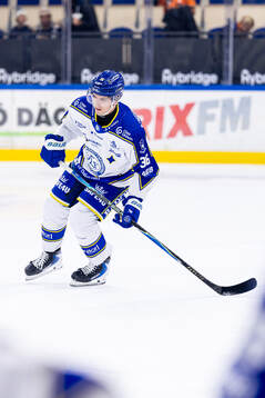 Leksands Stefan Milosevic