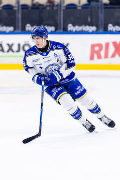 Leksands Stefan Milosevic
