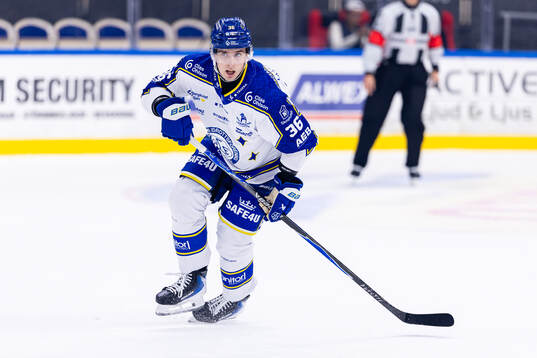 Leksands Stefan Milosevic