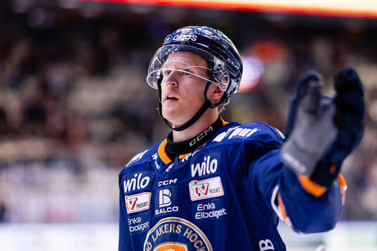 Växjös Hugo Gustafsson jublar