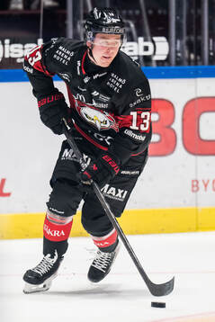 Malmö Redhawks Petter Vesterheim