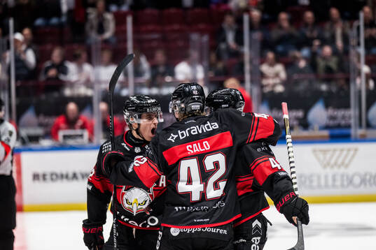 Malmö Redhawks spelare jublar