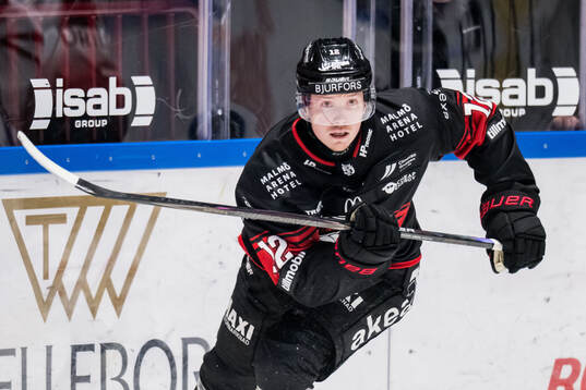 Malmö Redhawks Linus Öberg