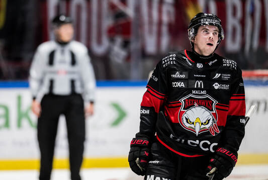 Malmö Redhawks Topi Niemelä deppar