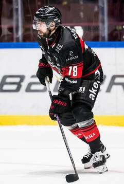 Malmö Redhawks Robin Hanzl