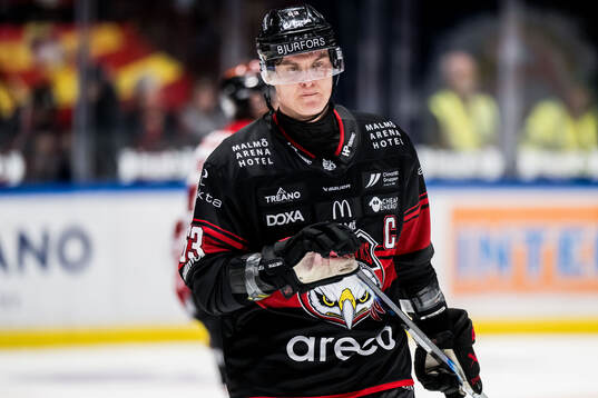 Malmö Redhawks Fredrik Händemark deppar
