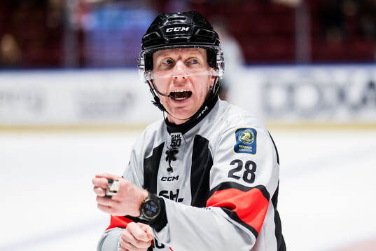 Domare Mikael Holm