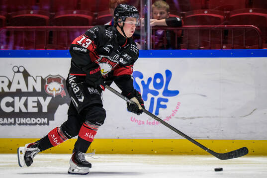Malmö Redhawks Petter Vesterheim