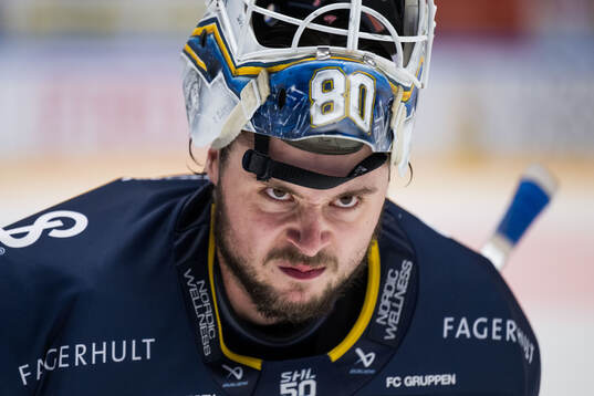 HV71s målvakt Frederik Dichow