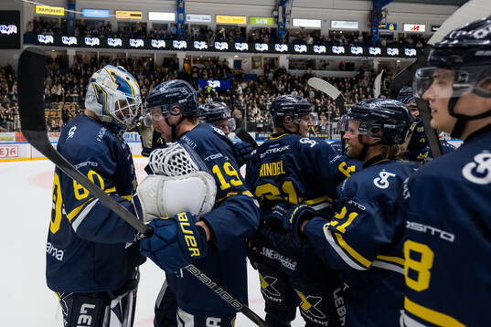 HV71s målvakt Frederik Dichow och Niklas Hansson jublar
