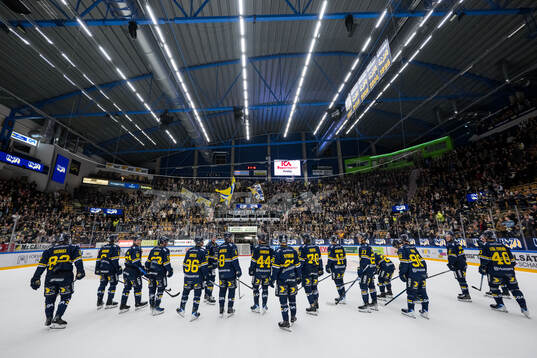 HV71s spelare jublar