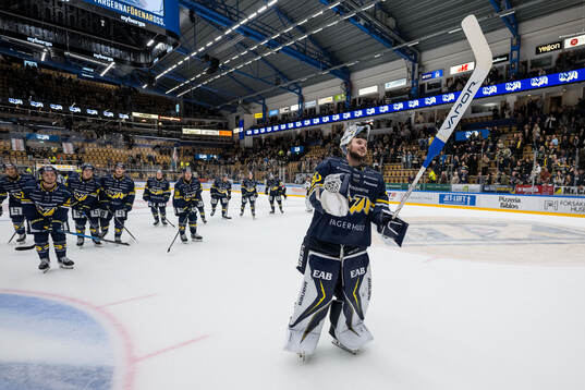 HV71s målvakt Frederik Dichow jublar