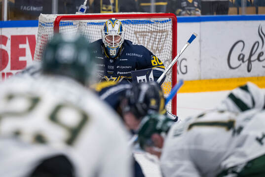 HV71s målvakt Frederik Dichow