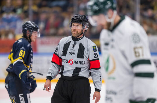Domare Tobias Björk
