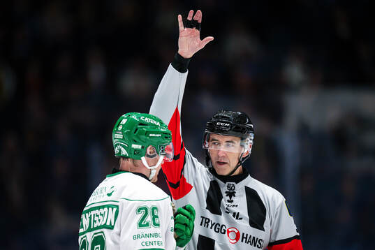 Domare Linus Öhlund och Rögles Anton Bengtsson