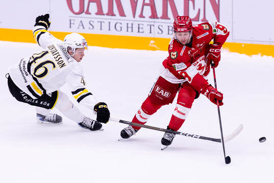 AIKs Viggo Gustafsson och Troja/Ljungbys Brady Risk