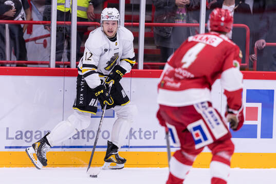 Under ishockeymatchen i Hockeyallsvenskan mellan