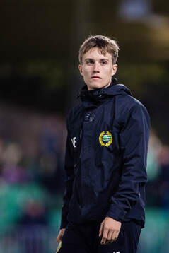 Hammarbys assisterande tränare Alfred Mörk-Eidem