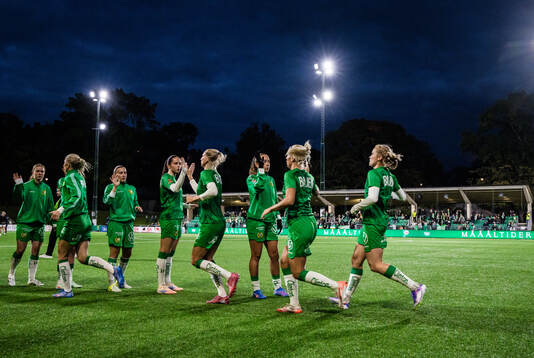 Hammarbys spelare