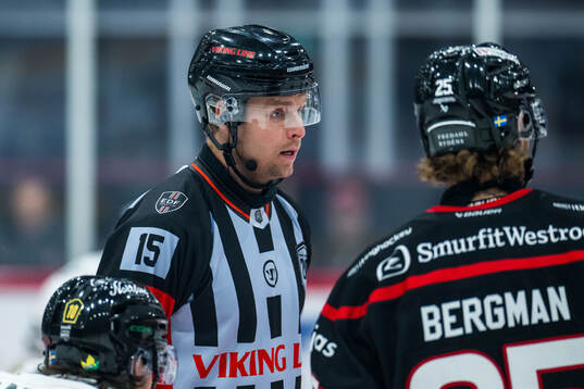 Domare Robin Forslund