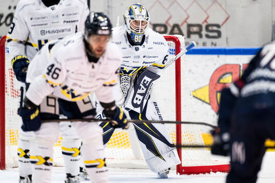 HV71s målvakt Frederik Dichow
