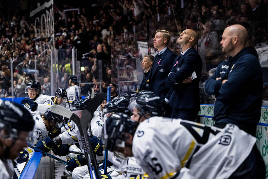 HV71s tränare Anton Blomqvist deppar