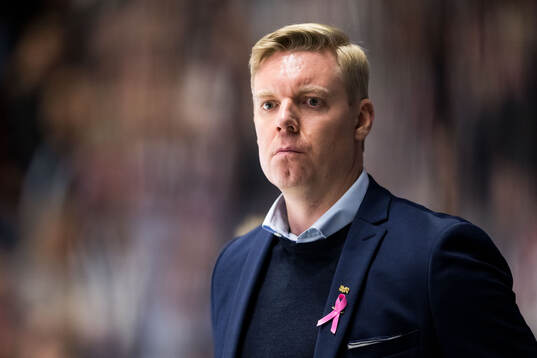 HV71s tränare Anton Blomqvist