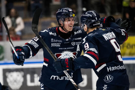 Linköpings Fredrik Karlström och Erik Norén jublar