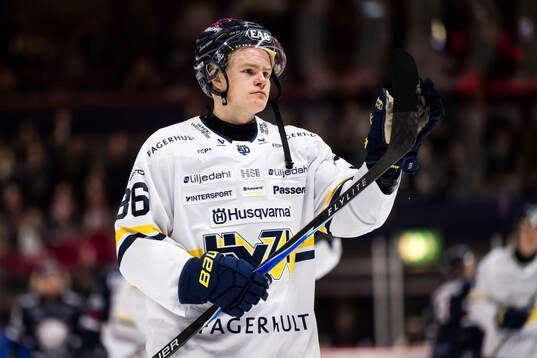 HV71s Martin Johnsen deppar