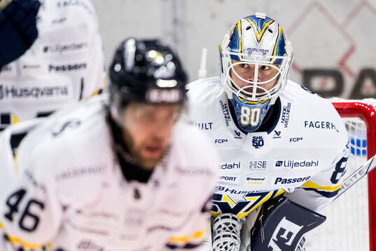 HV71s målvakt Frederik Dichow