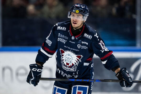 Linköpings Jakub Vrana deppar