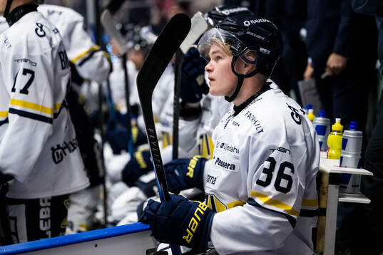 HV71s Martin Johnsen deppar