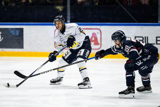 HV71s Jonathan Ang och Linköpings Johan Johnsson