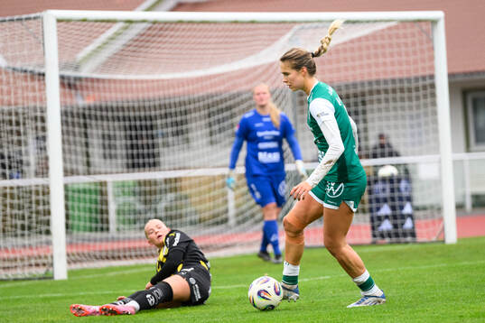 Alingsås Emmaliina Tulkki