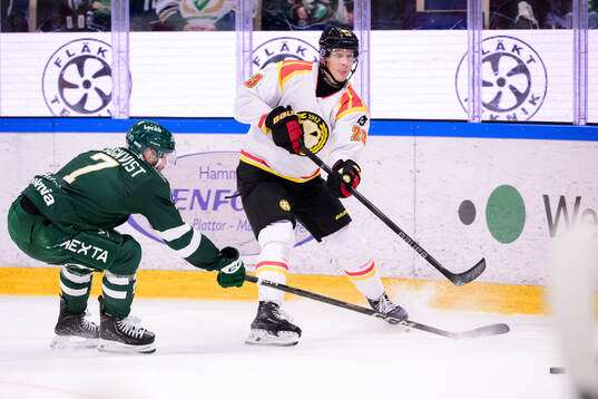 Brynäs Oskar Lindblom