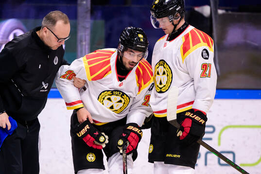 Brynäs Tyler Vesel