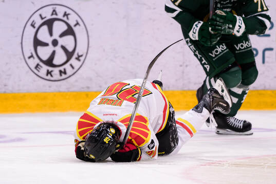 Brynäs Tyler Vesel