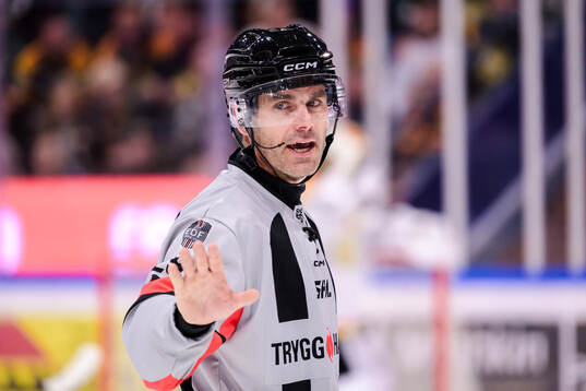 Domare Richard Magnusson