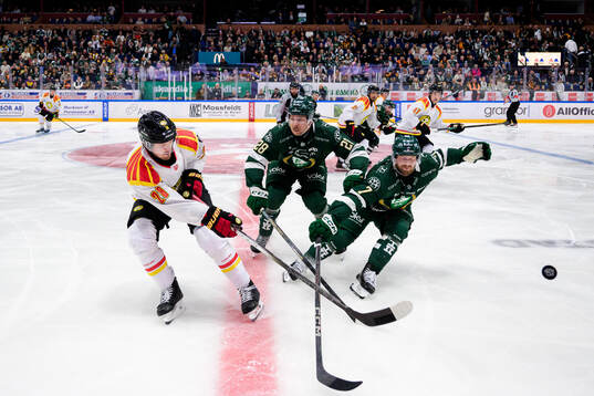 Brynäs Johannes Kinnvall och Färjestads Emil Alba och