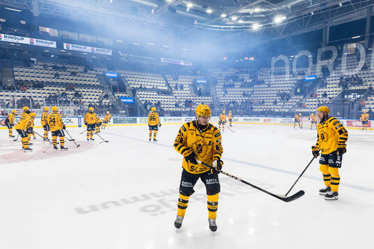 Skellefteås spelare