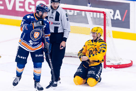 Växjös Brian Cooper och Skellefteås Pär Lindholm