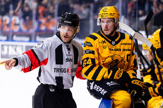 domare Kristoffer Folkstrand och Skellefteås Jonathan Pudas