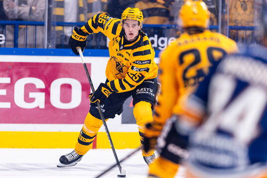 Skellefteås Pontus Johansson