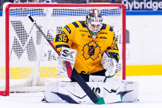Skellefteås målvakt Strauss Mann