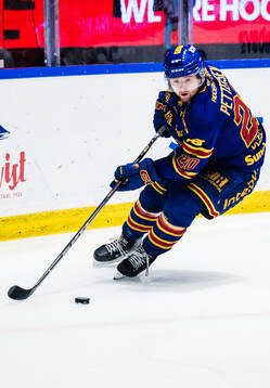 Djurgårdens Mathias Emilio Pettersen