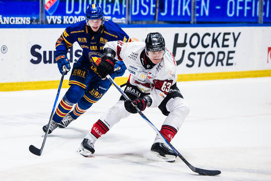Djurgårdens Hugo Blixt och Malmö Redhawks Fredrik