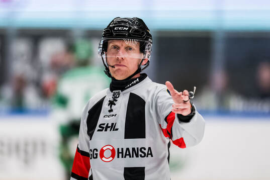 Domare Mikael Holm